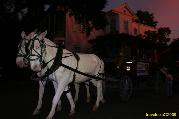 Halloween-2009-New-Orleans-6t9-SAPC-0036