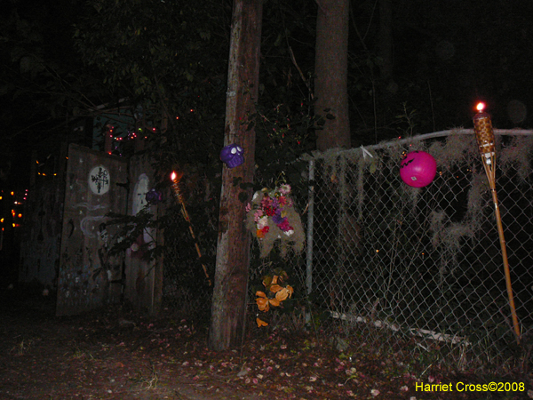 New-Orleans-Day-of-the-Dead-Sallie-Ann-Glassman-2008-0494