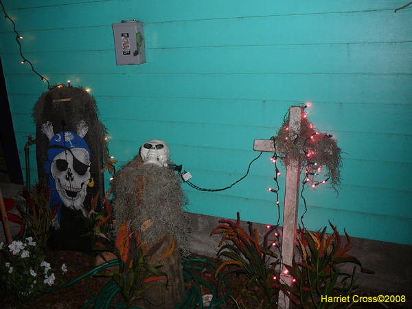 New-Orleans-Day-of-the-Dead-Sallie-Ann-Glassman-2008-0518