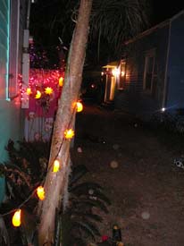 New-Orleans-Day-of-the-Dead-Sallie-Ann-Glassman-2008-0468