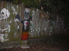 New-Orleans-Day-of-the-Dead-Sallie-Ann-Glassman-2008-0472