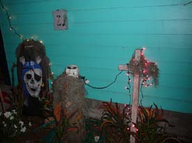 New-Orleans-Day-of-the-Dead-Sallie-Ann-Glassman-2008-0518